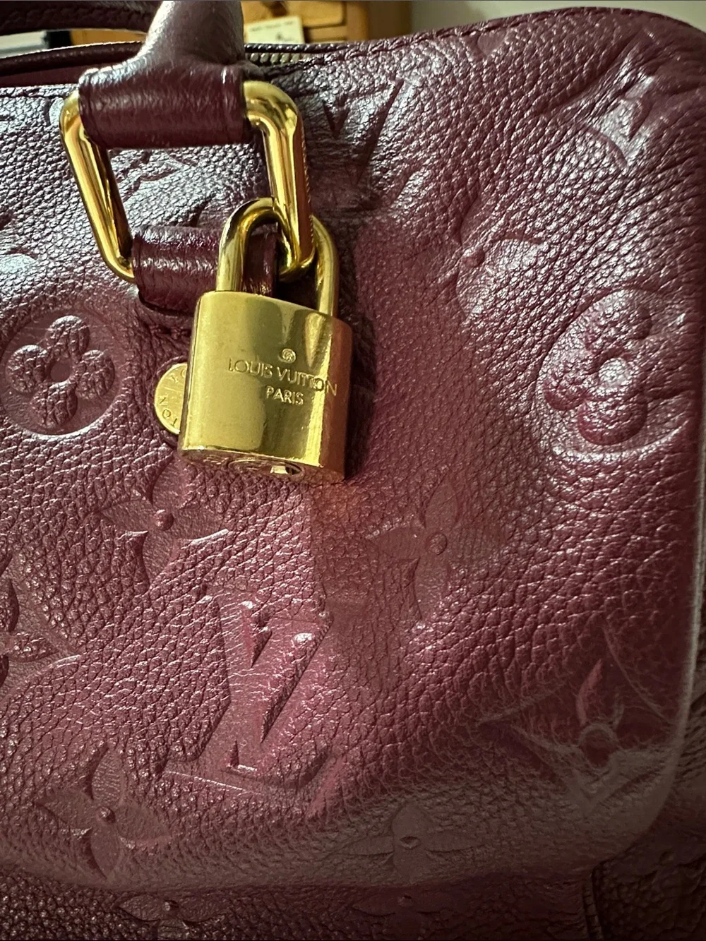 Louis Vuitton Burgundy Plum Monogram Speedy with Gold Hardware